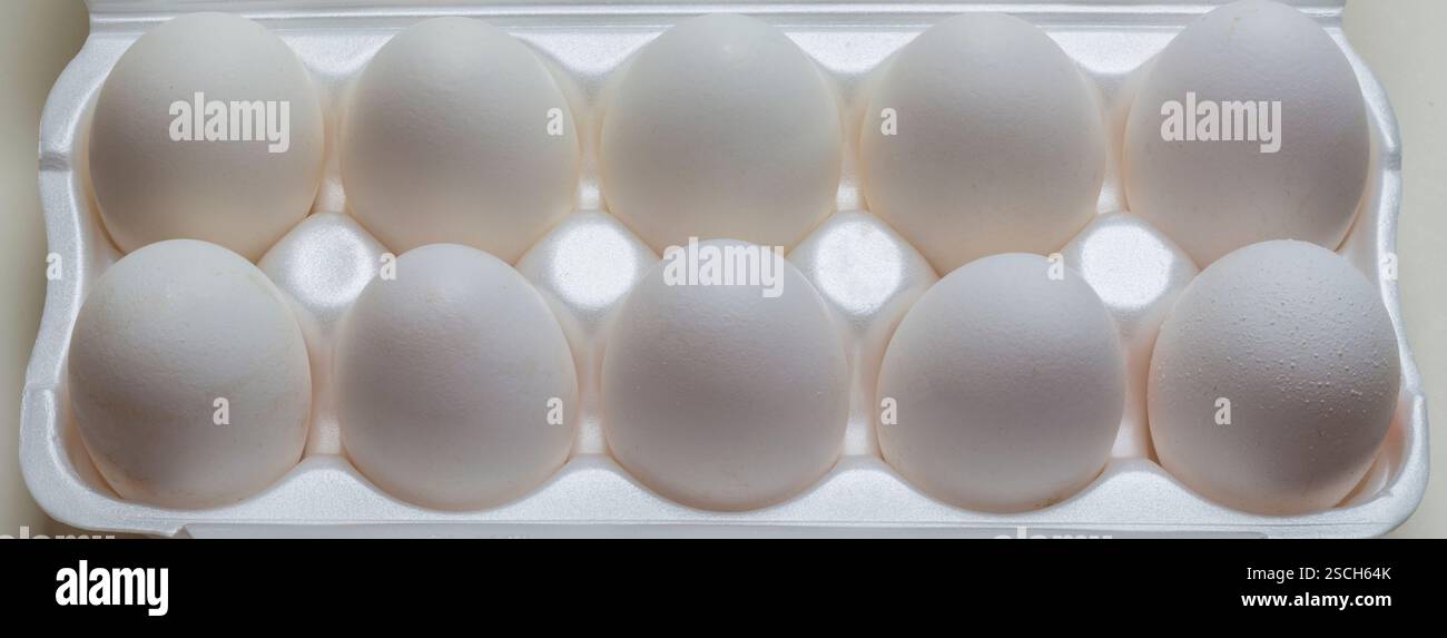 Chicken eggs in the cassette box on a white background Stock Photo - Alamy