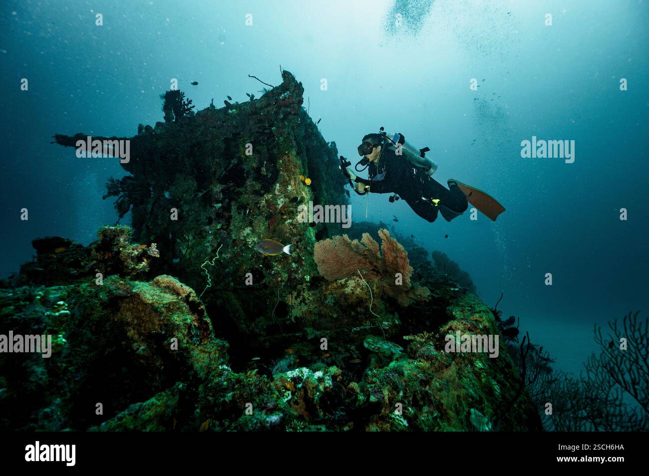 diver exploring wreck of an old fishing vessel in the Maldives Stock ...