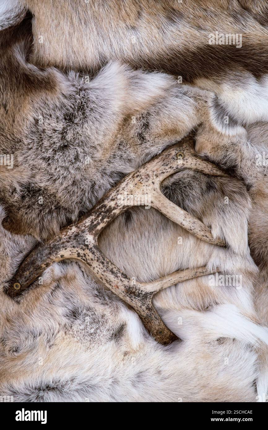 Fur textures hi-res stock photography and images - Alamy
