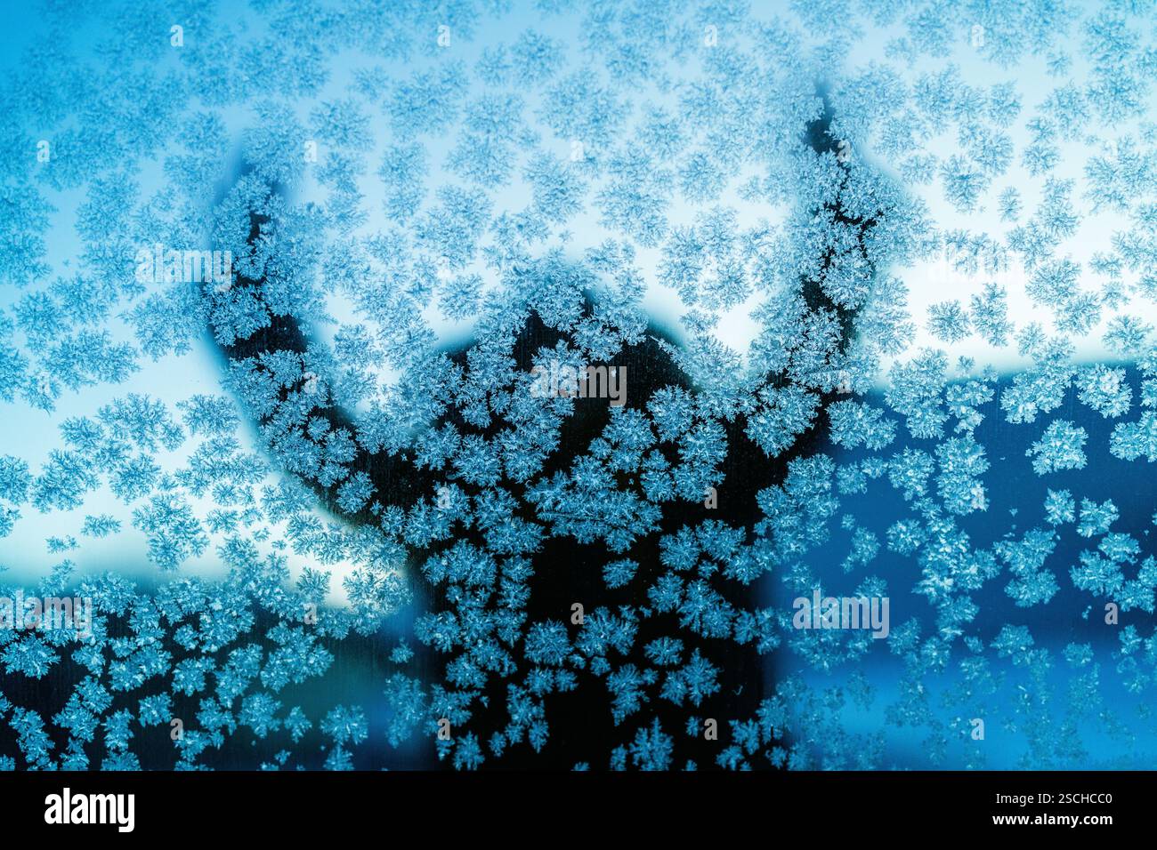 A captivating silhouette behind a frosty glass in Swedish Lapland, showcasing intricate ice crystal patterns on glass surface. Stock Photo