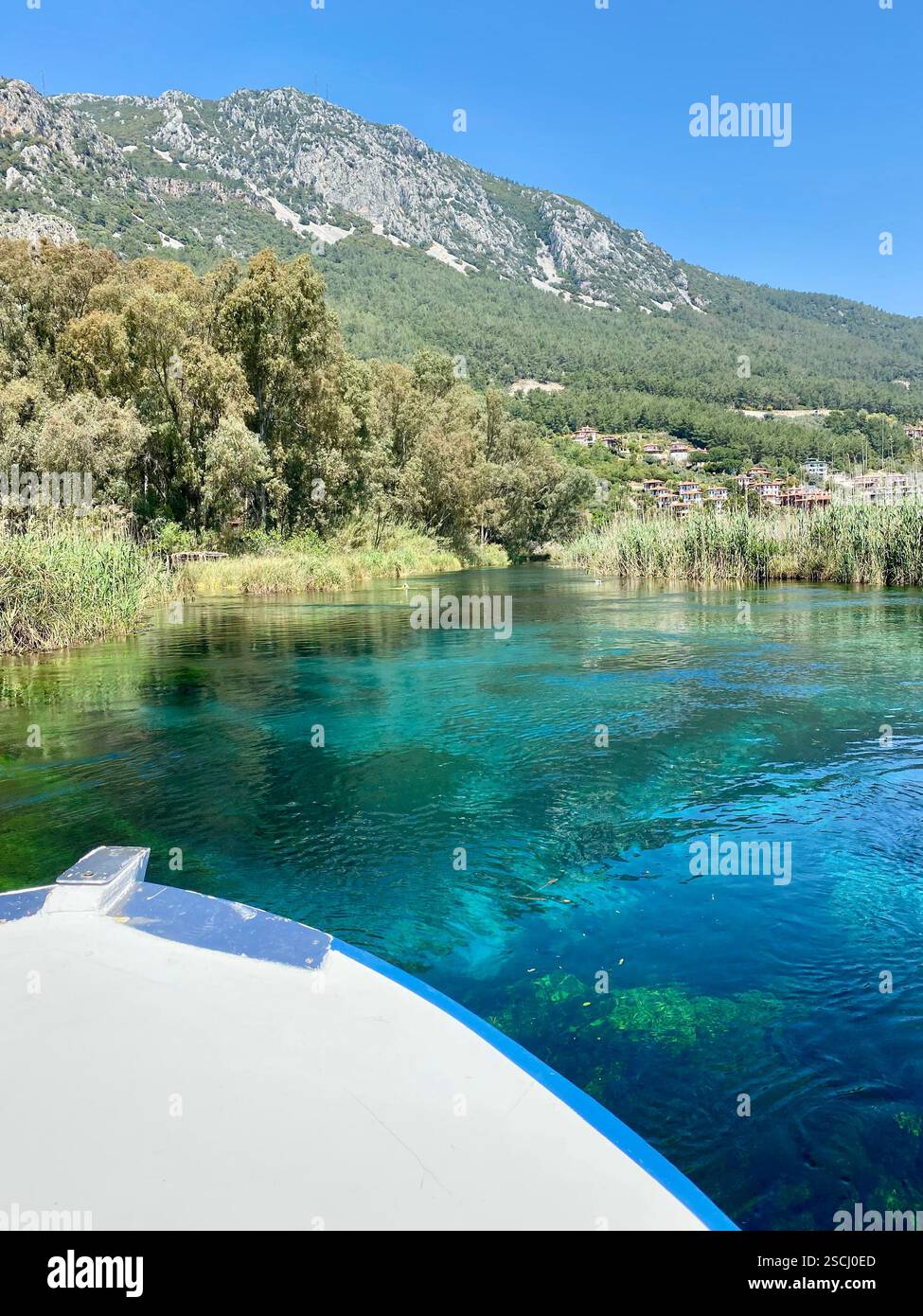 Beautiful view of the Azmak river in Türkiye from the end of a boat - Smartphone Captured Stock Image