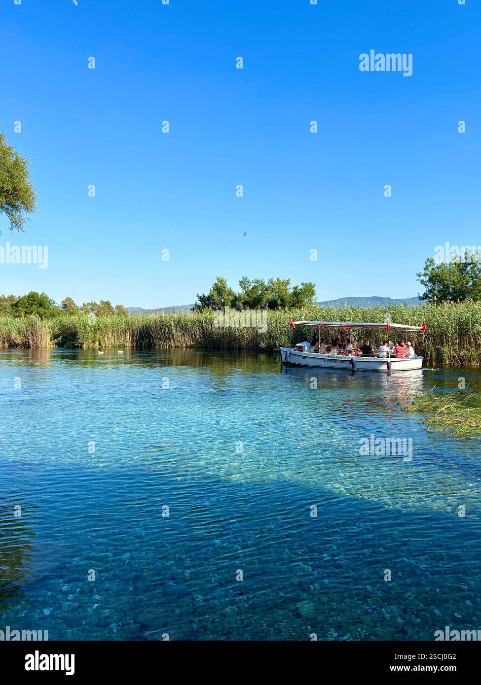 Scenic view of the beautiful blue waters of the cold Azmak river in Akyaka, Türkiye - Smartphone Captured Stock Image