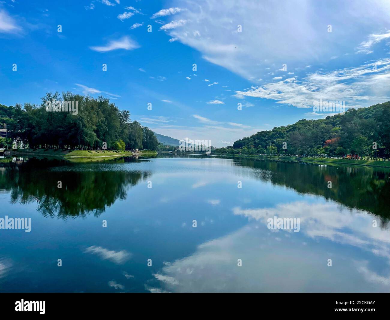 A peaceful lake surrounded by lush greenery reflects the bright blue sky and scattered clouds. The calm waters create a mirror-like effect - Smartphone Captured Stock Image