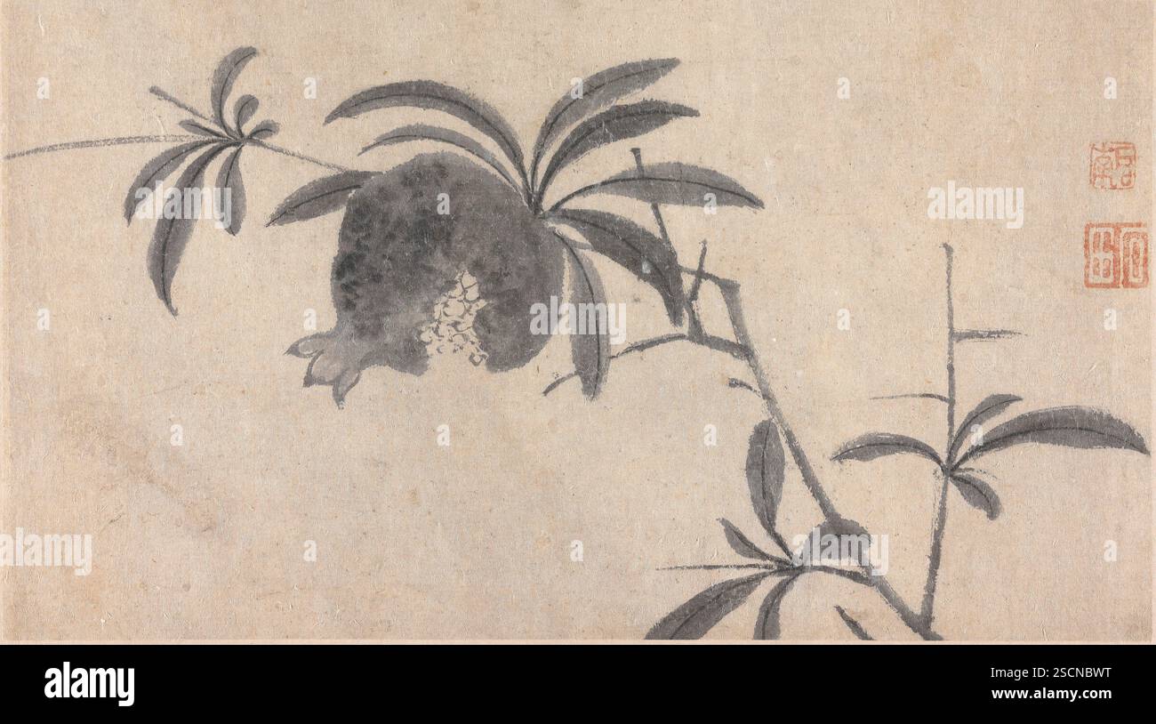 Fruit, unknown date, c1450-1509. Stock Photo