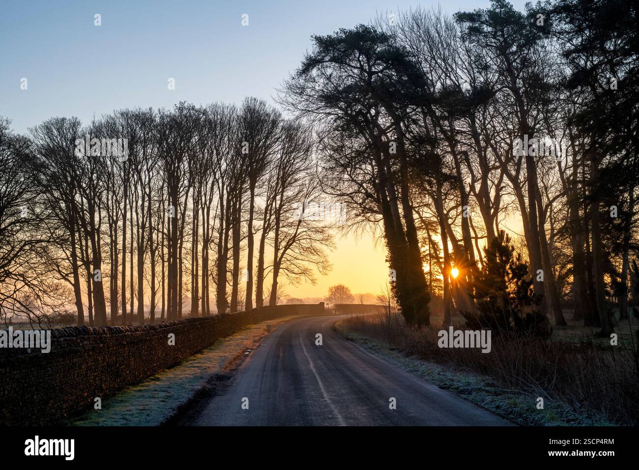 Winter trees in the frost at sunrise along a country road. Great Tew, Cotswolds, Oxfordshire, England Stock Photo