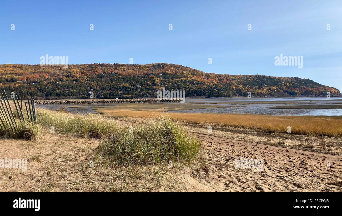 Where the river meets the shore—nature’s perfect escape, framed by lush grass and towering mountains - Smartphone Captured Stock Image