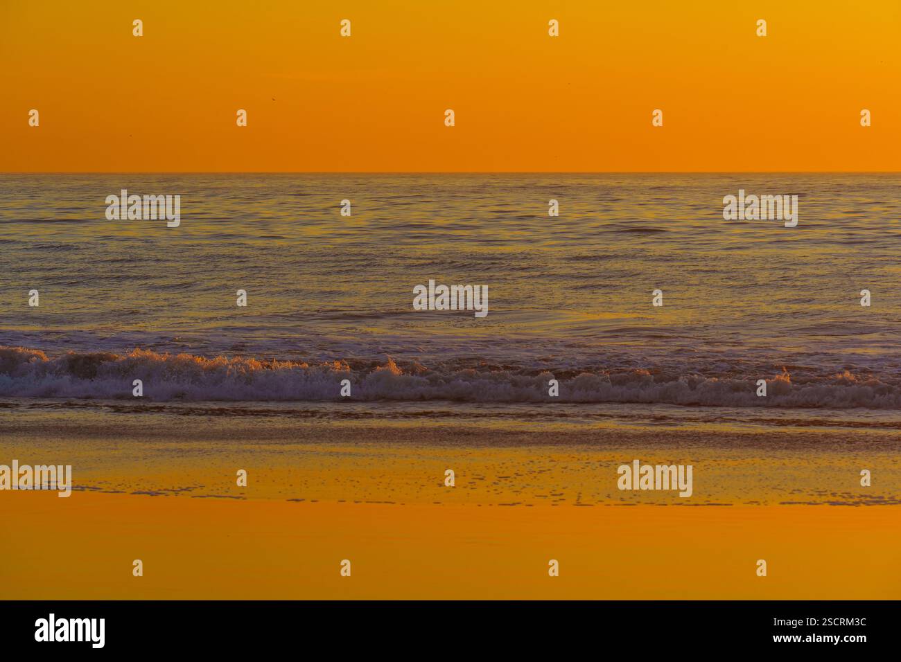 Stunning sunset casts a golden hue over the calm waters of Venice Beach ...