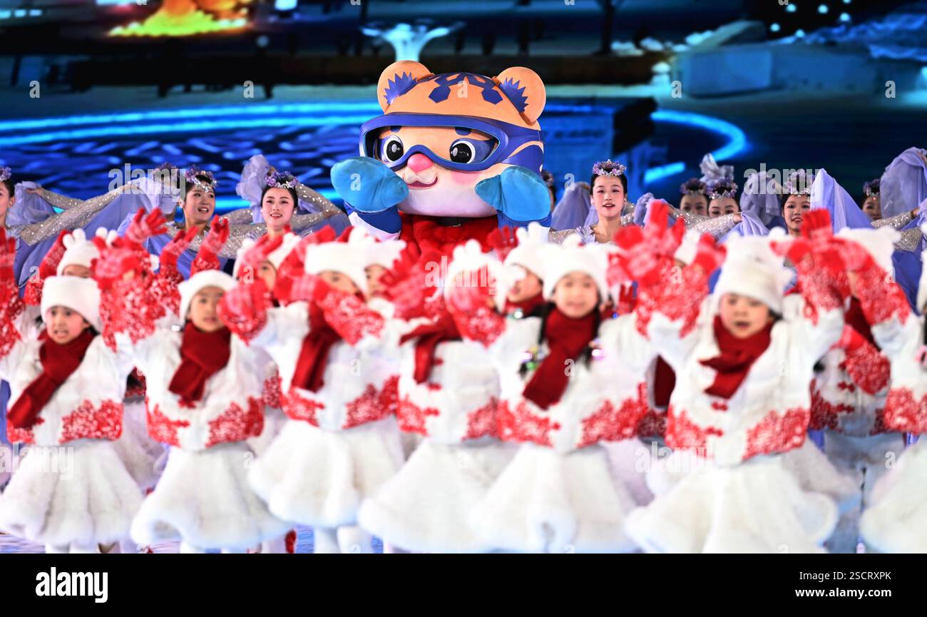 Harbin, China's Heilongjiang Province. 7th Feb, 2025. Binbin, mascot of ...