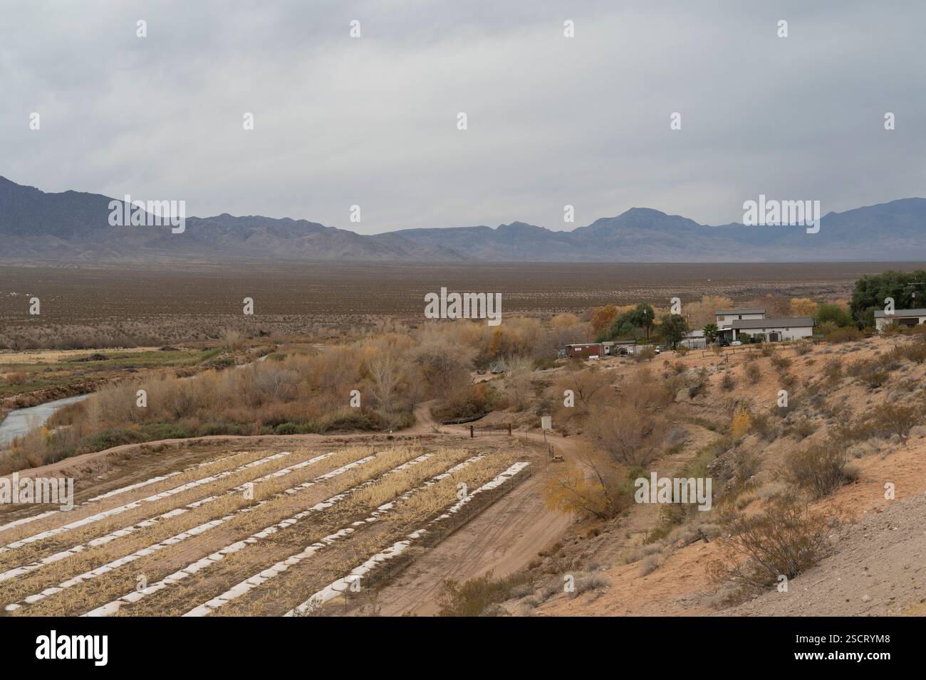 Crops dry mexico hi-res stock photography and images - Alamy
