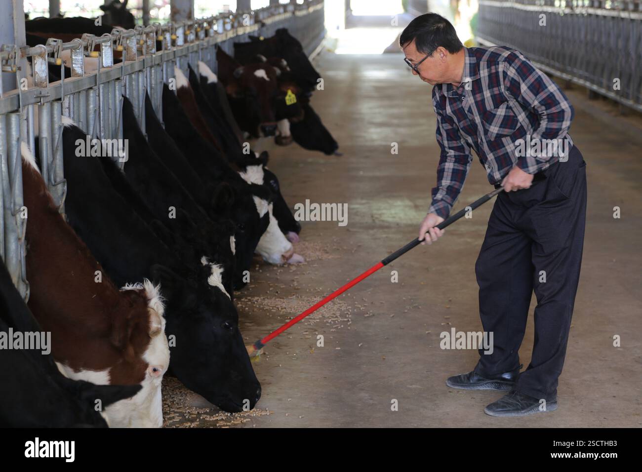 (250207) -- NOUAKCHOTT, Feb. 7, 2025 (Xinhua) -- Zhang Hong'en