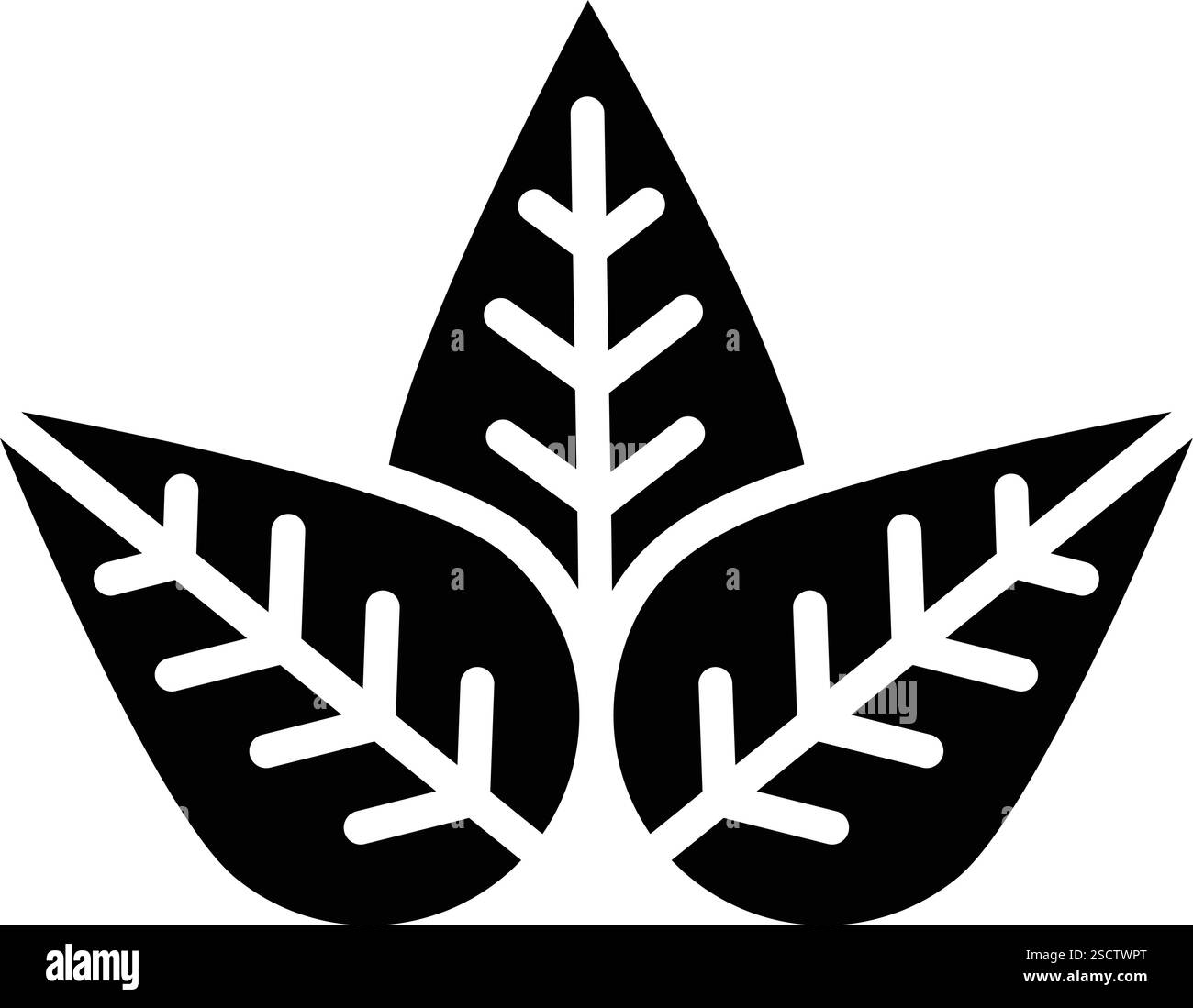 Leaf Vector Icon Design Illustration Stock Vector Image & Art - Alamy