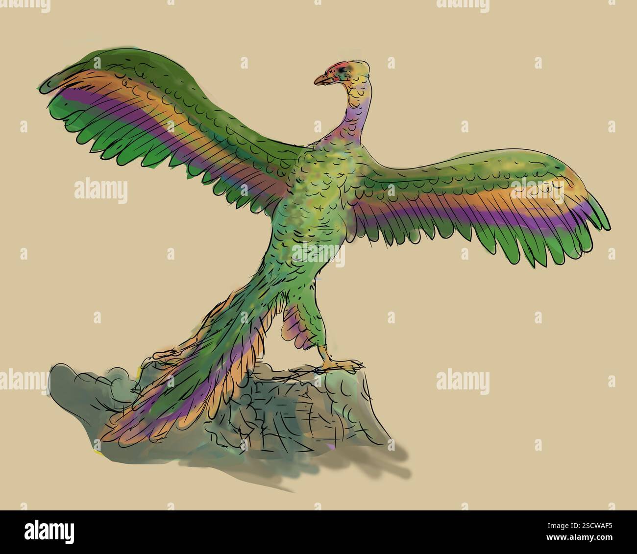 Archaeopteryx species hi-res stock photography and images - Alamy