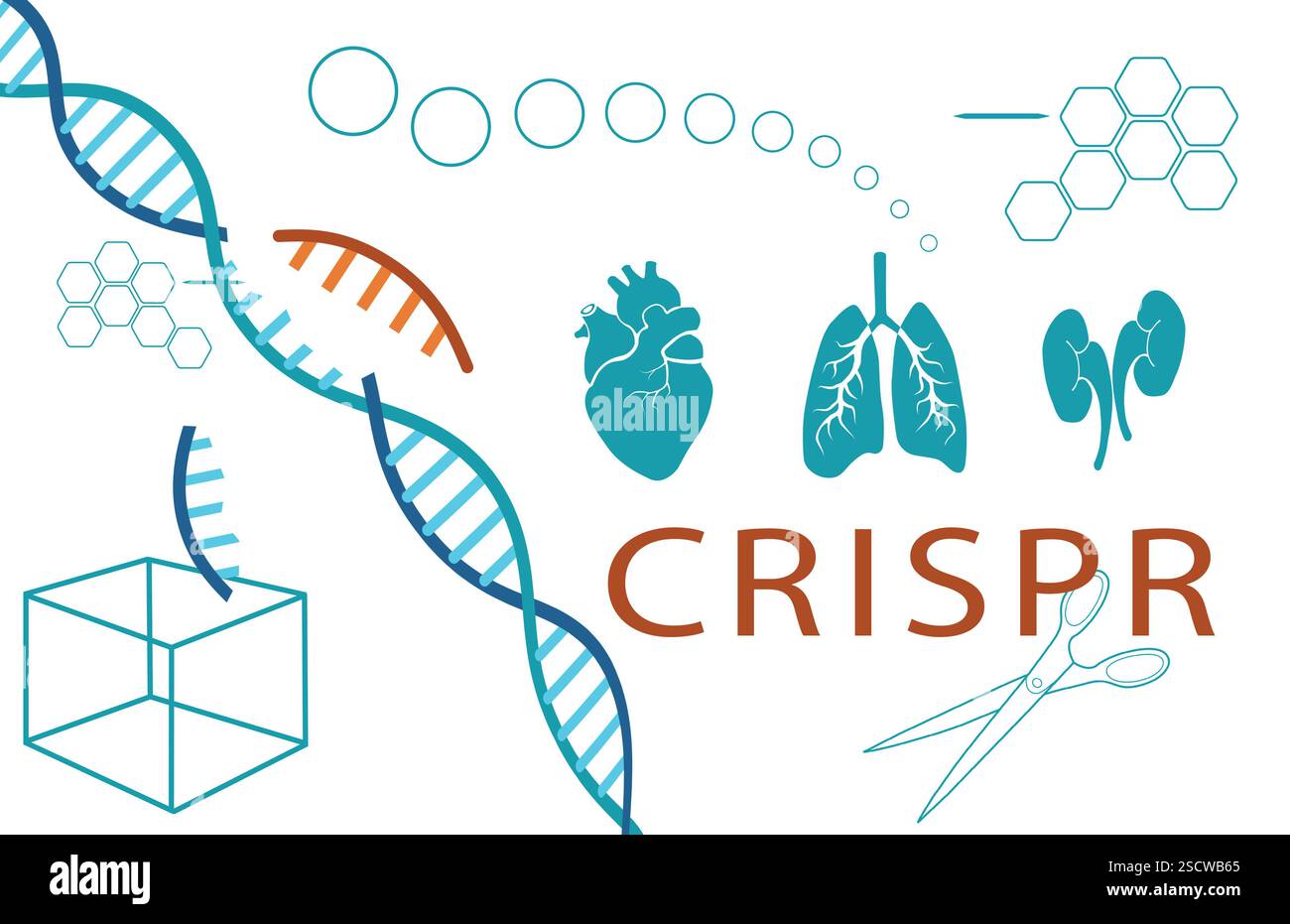 Abstract design graphic representing the gene-editing technology of CRISPR Stock Photo