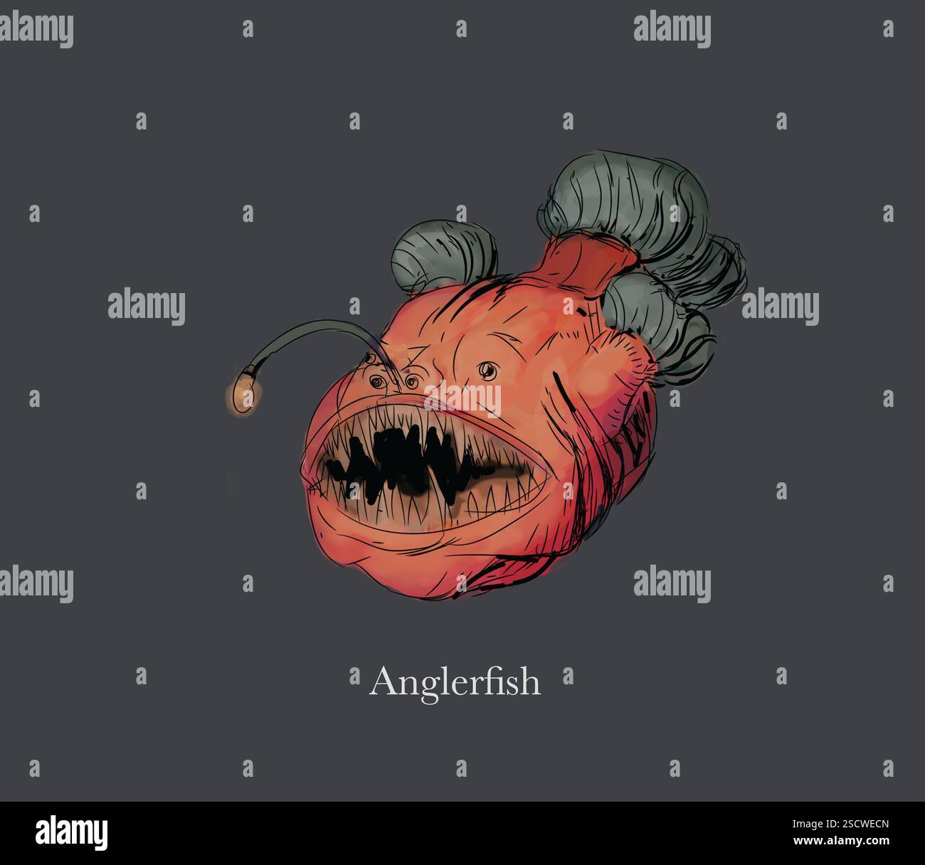 Deep sea anglerfish prey hi-res stock photography and images - Alamy Deep sea anglerfish prey hi-res stock photography and images - Alamy