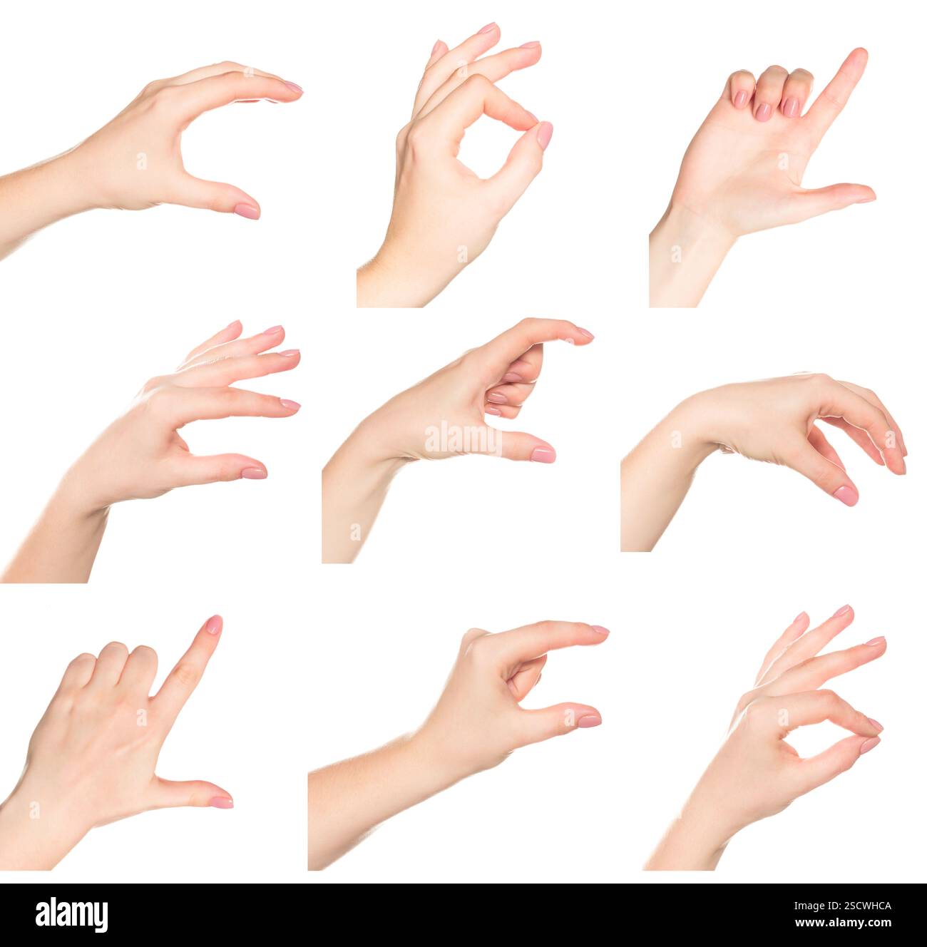 Various hand gestures demonstrating communication methods in a neutral ...