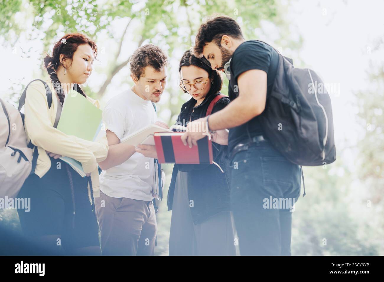 Multicultural students collaborating on school tasks in a park setting Stock Photo