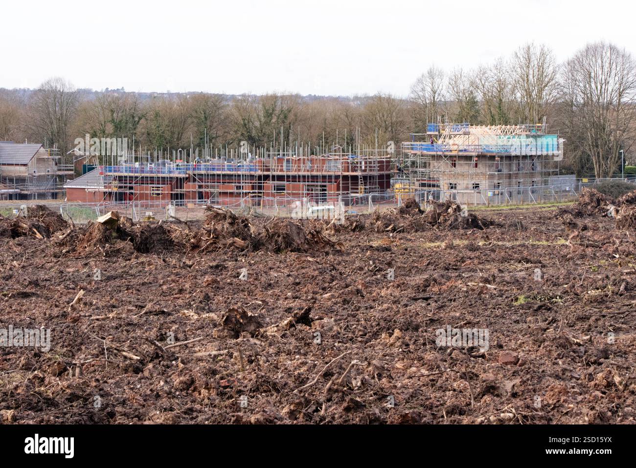 Woodland removed for housing development. Redditch, Worcestershire, England, UK Stock Photo