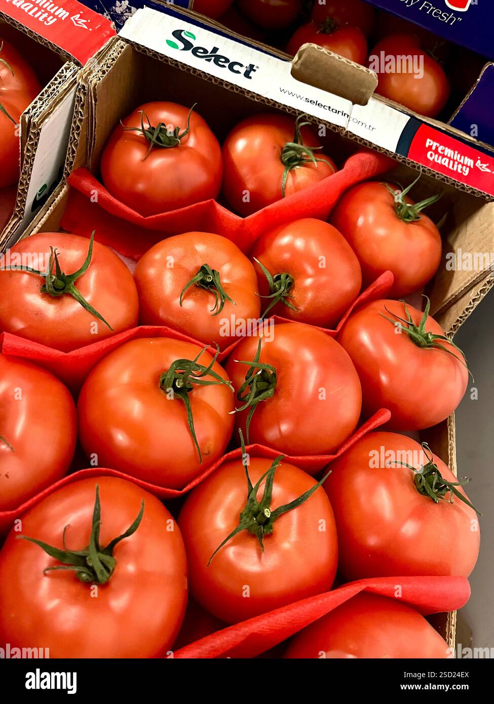 tomatoes, cardboard crate, vegetables, warehouse, storage, food, agriculture, food supply, vegetable storage, distribution, supply chain - Smartphone Captured Stock Image