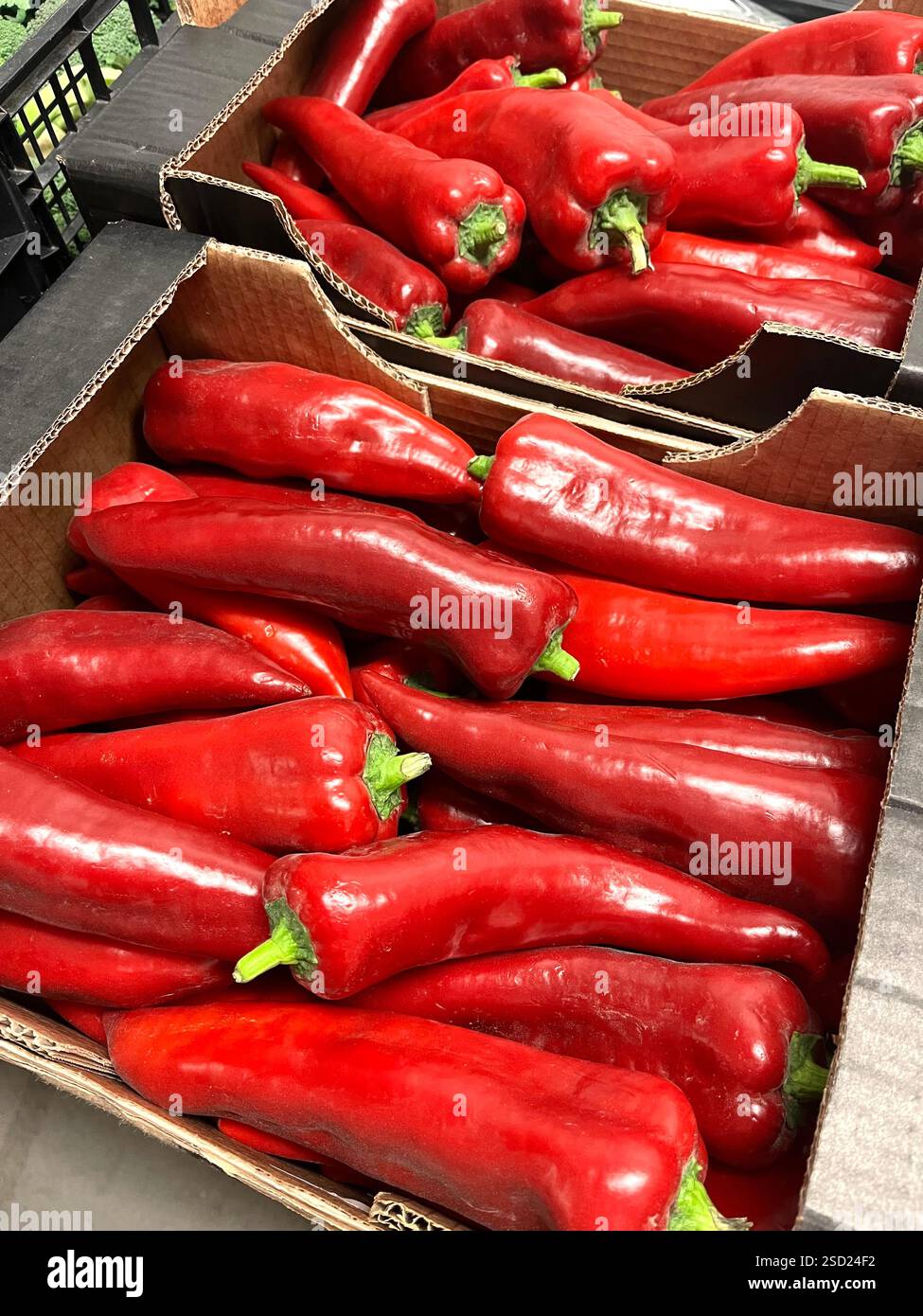 red peppers, peppers, cardboard crates, vegetables, warehouse, storage, food, agriculture, food supply, vegetable storage, distribution, supply chain - Smartphone Captured Stock Image
