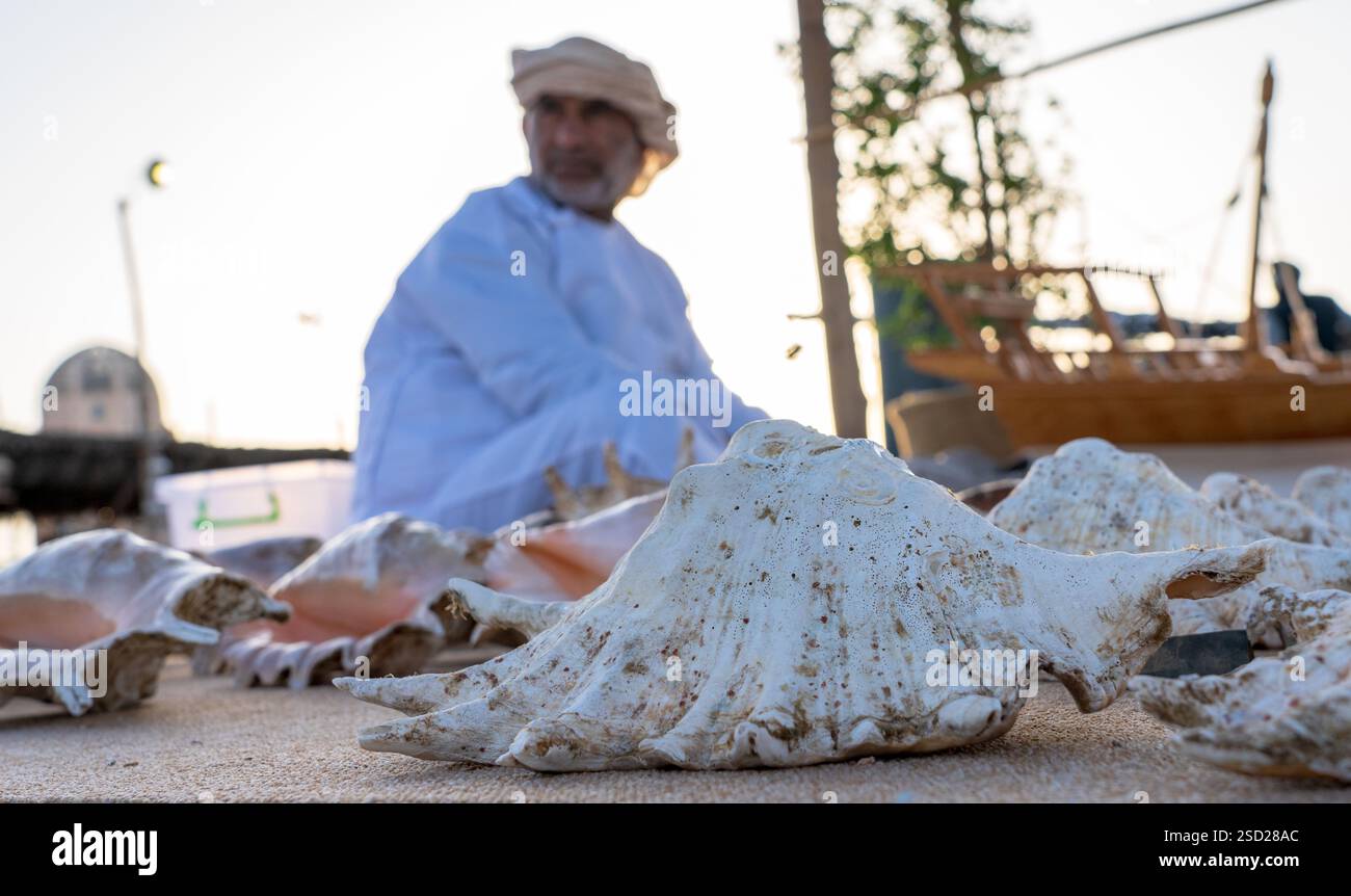 Qatar Shell Instrument Doha,qatar -February 7, 2025: A merchant displaying sea shells and ...