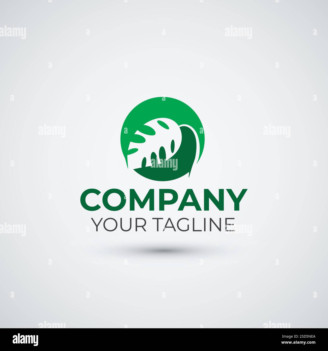 green monstera leaf logo icon design Stock Vector