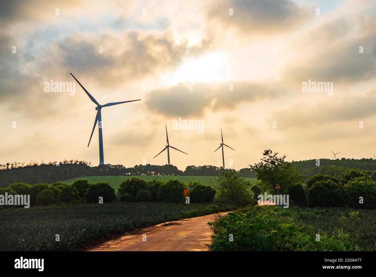 Wind Turbines in a Scenic Agricultural Landscape Stock Photo - Alamy