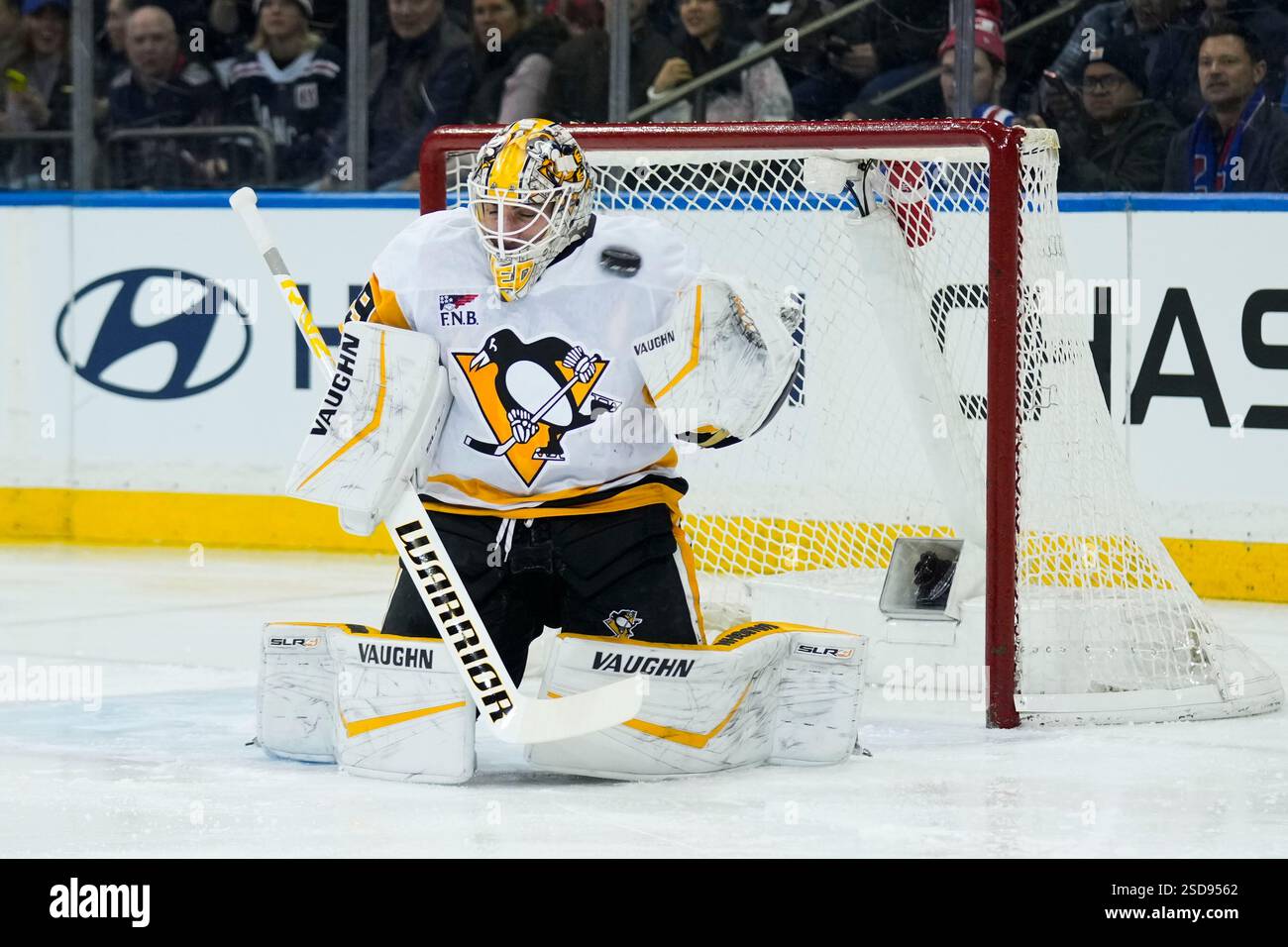 Spectacular Penguins' Goaltender Hits Big Milestone Photo Nature Spectacular Penguins' Goaltender Hits Big Milestone Photo Nature