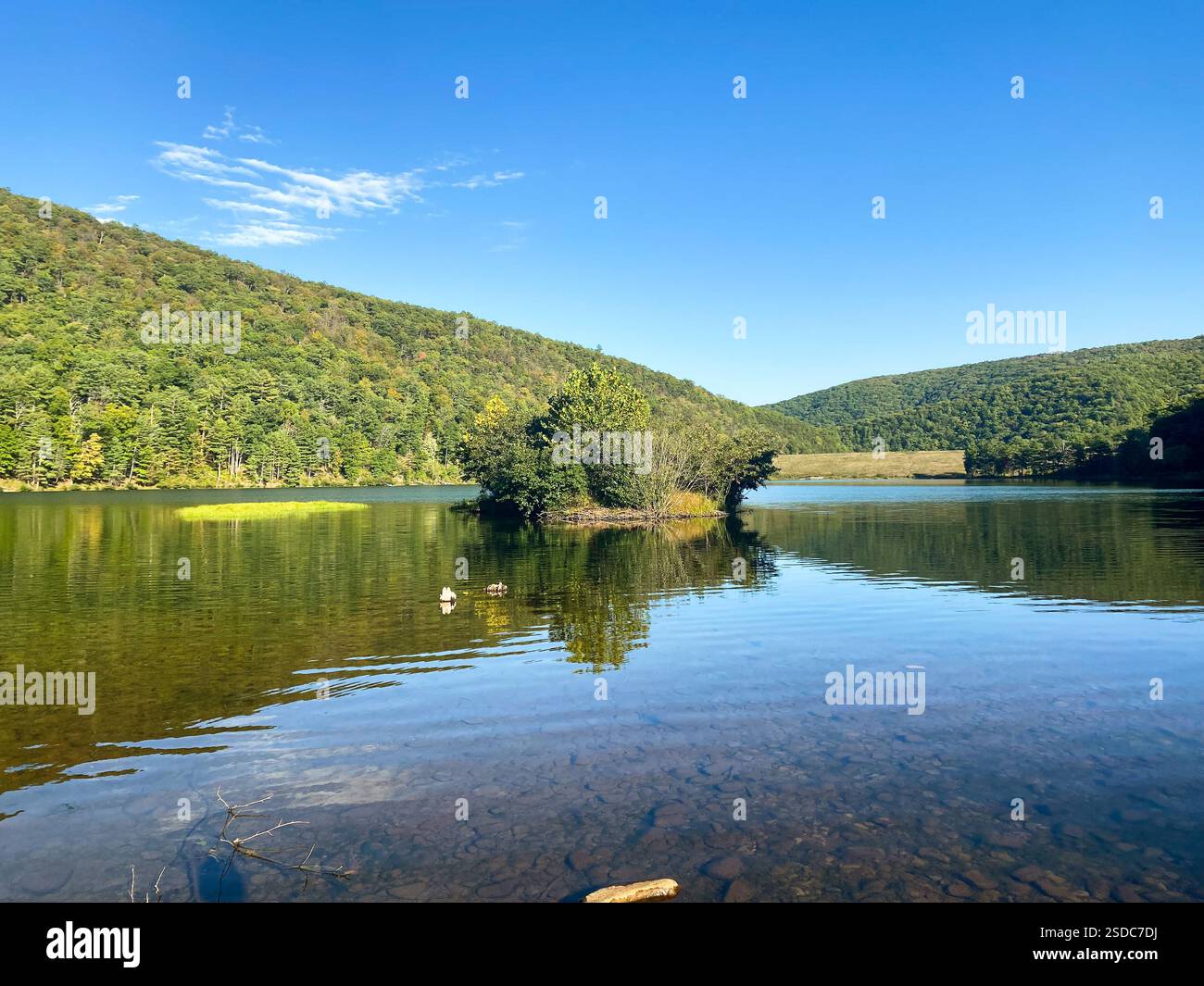 Lake with nature view Stock Photo