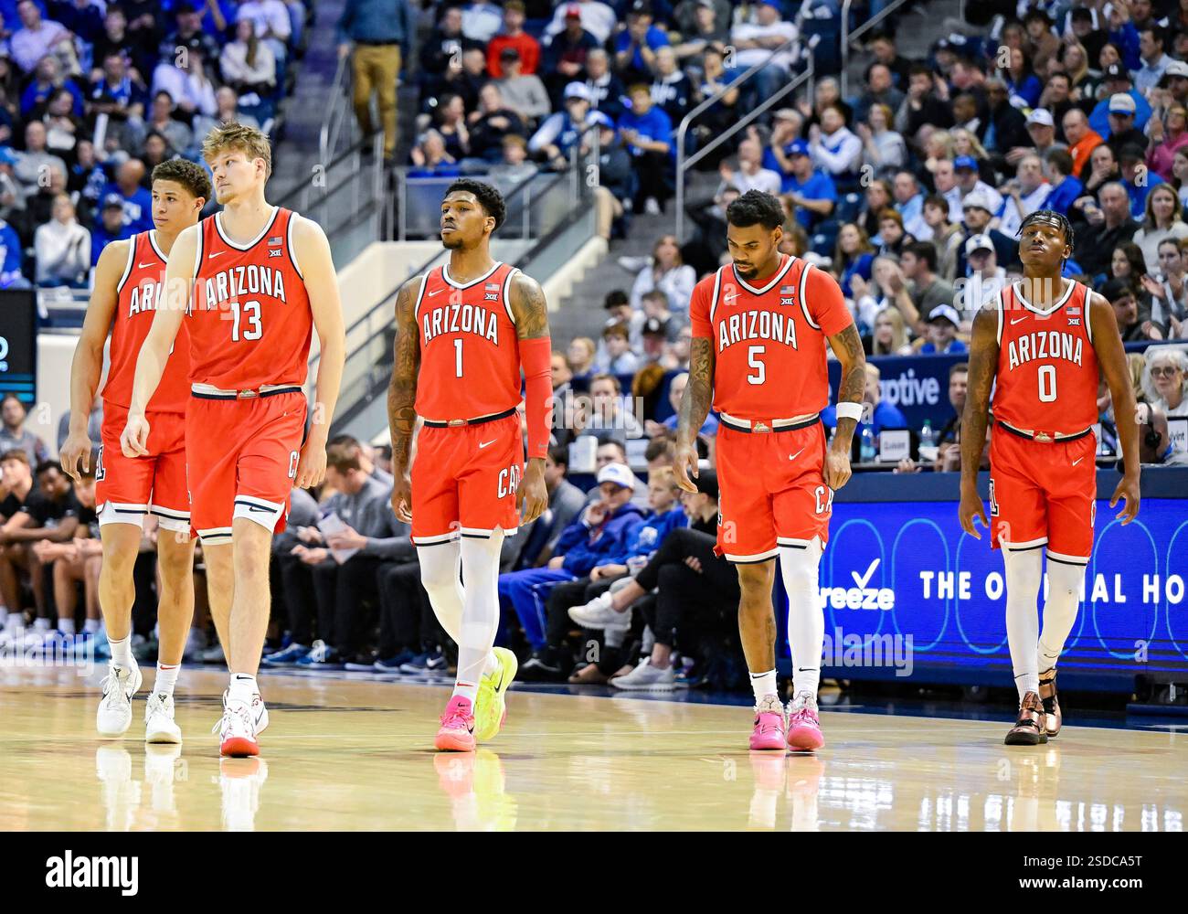 PROVO, UT February 04 The Wildcats Arizona Wildcats right to left