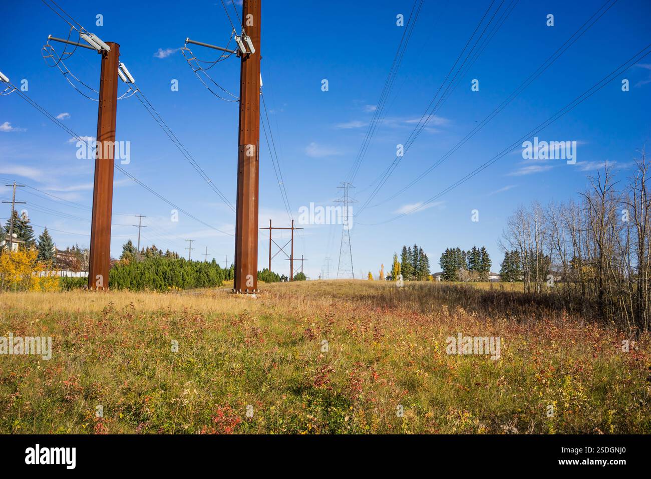 Power lines running through the city boundaries Stock Photo - Alamy