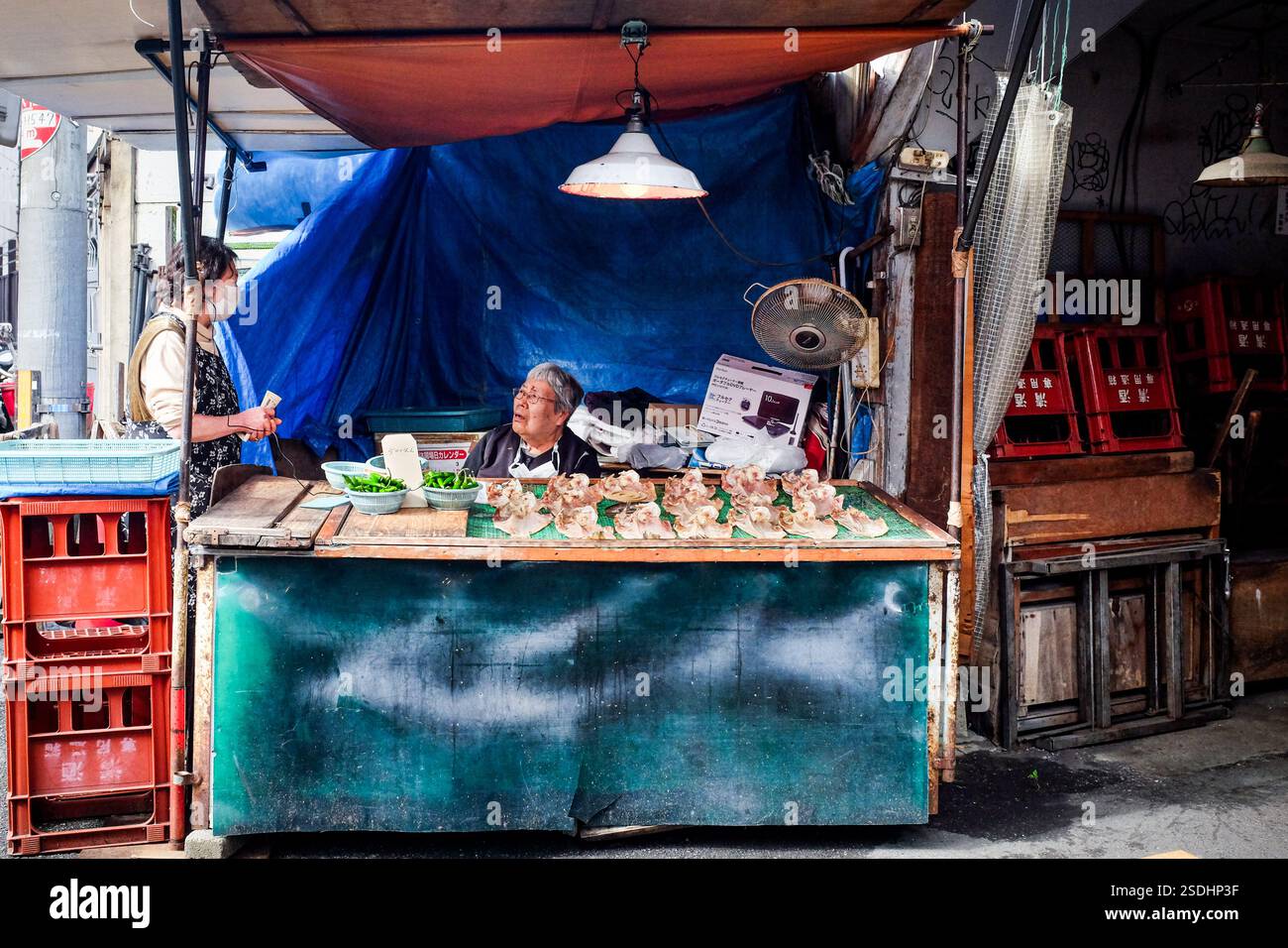 A woman selling fish at Tsuruhashi market in Osaka, Japan. Stock Photo