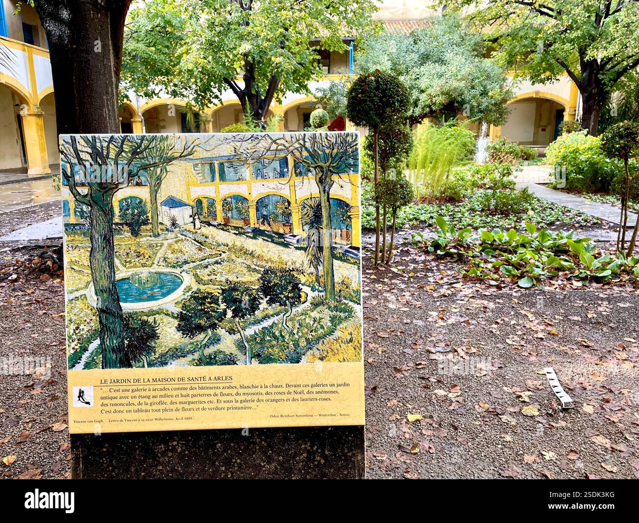 Garden of the Hospital in Arles - Smartphone Captured Stock Image