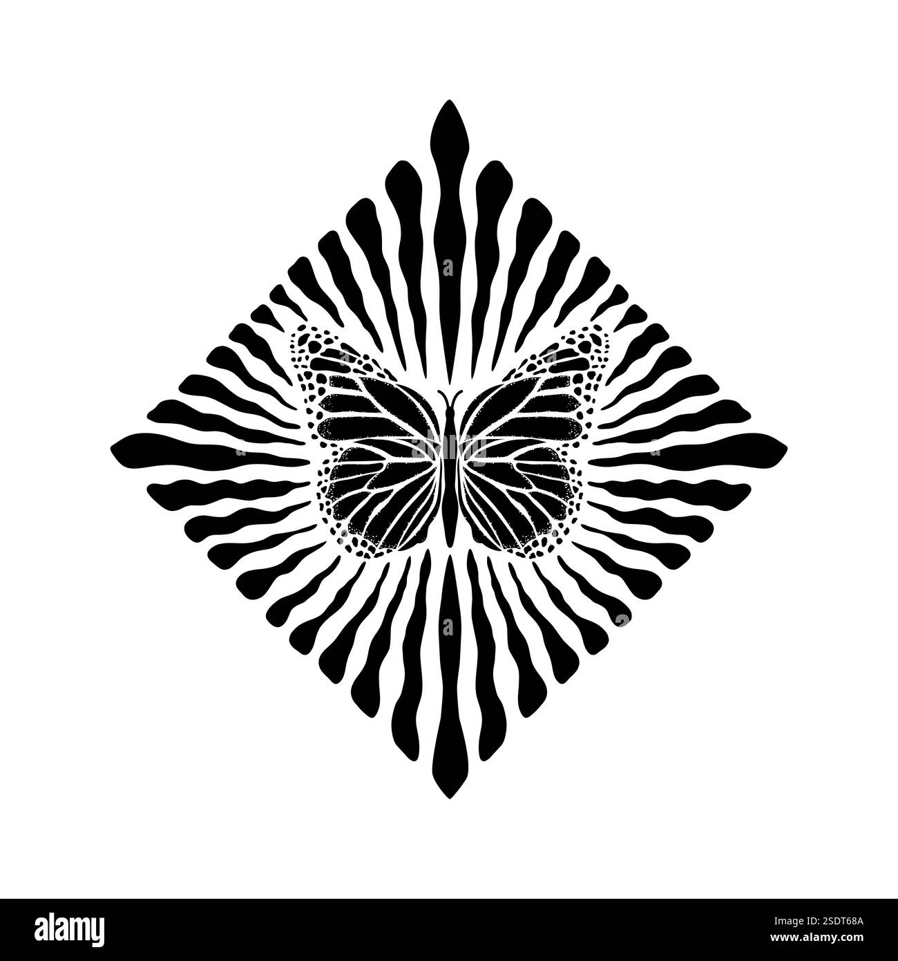 monochrome-butterfly-design-with-radial-lines-stock-vector-image-art