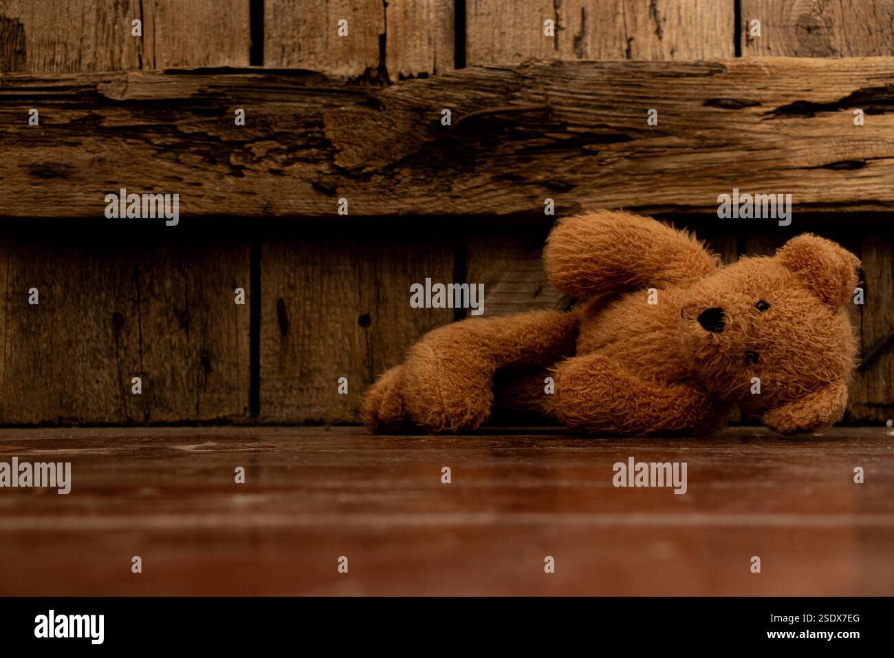 Brown soft teddy bear lying abandoned on the floor of a house Stock ...