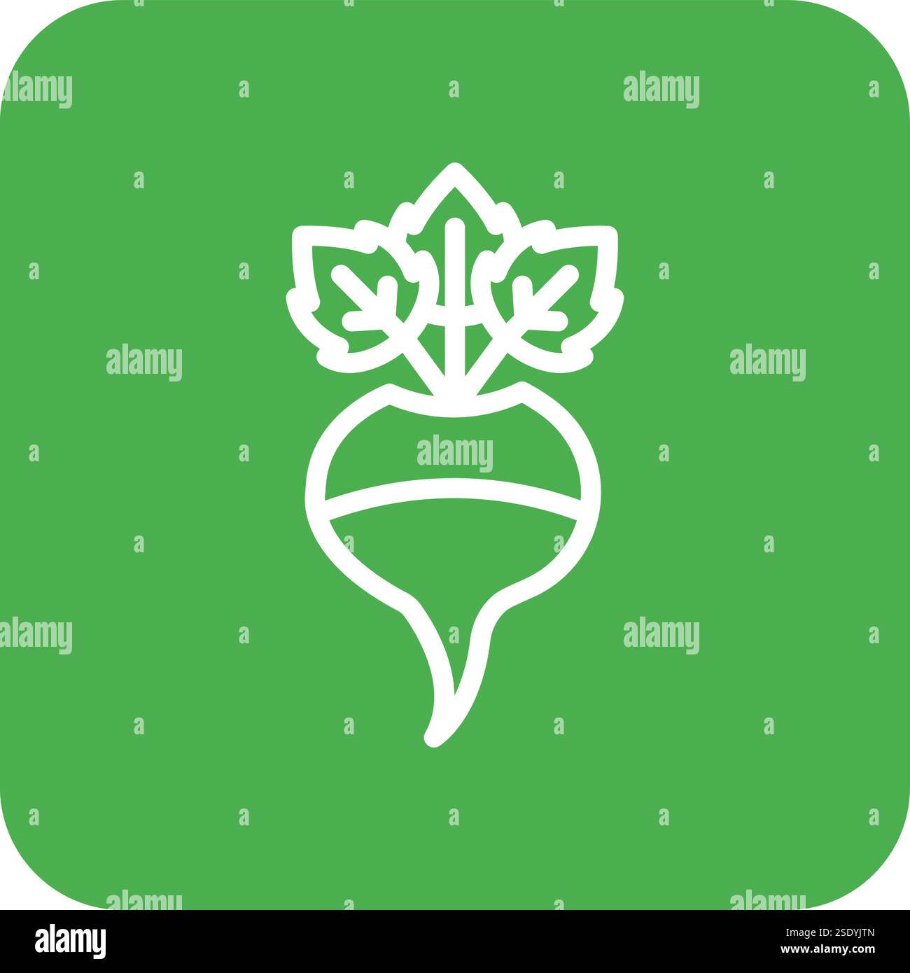 Turnip Vector Icon Design Illustration Stock Vector