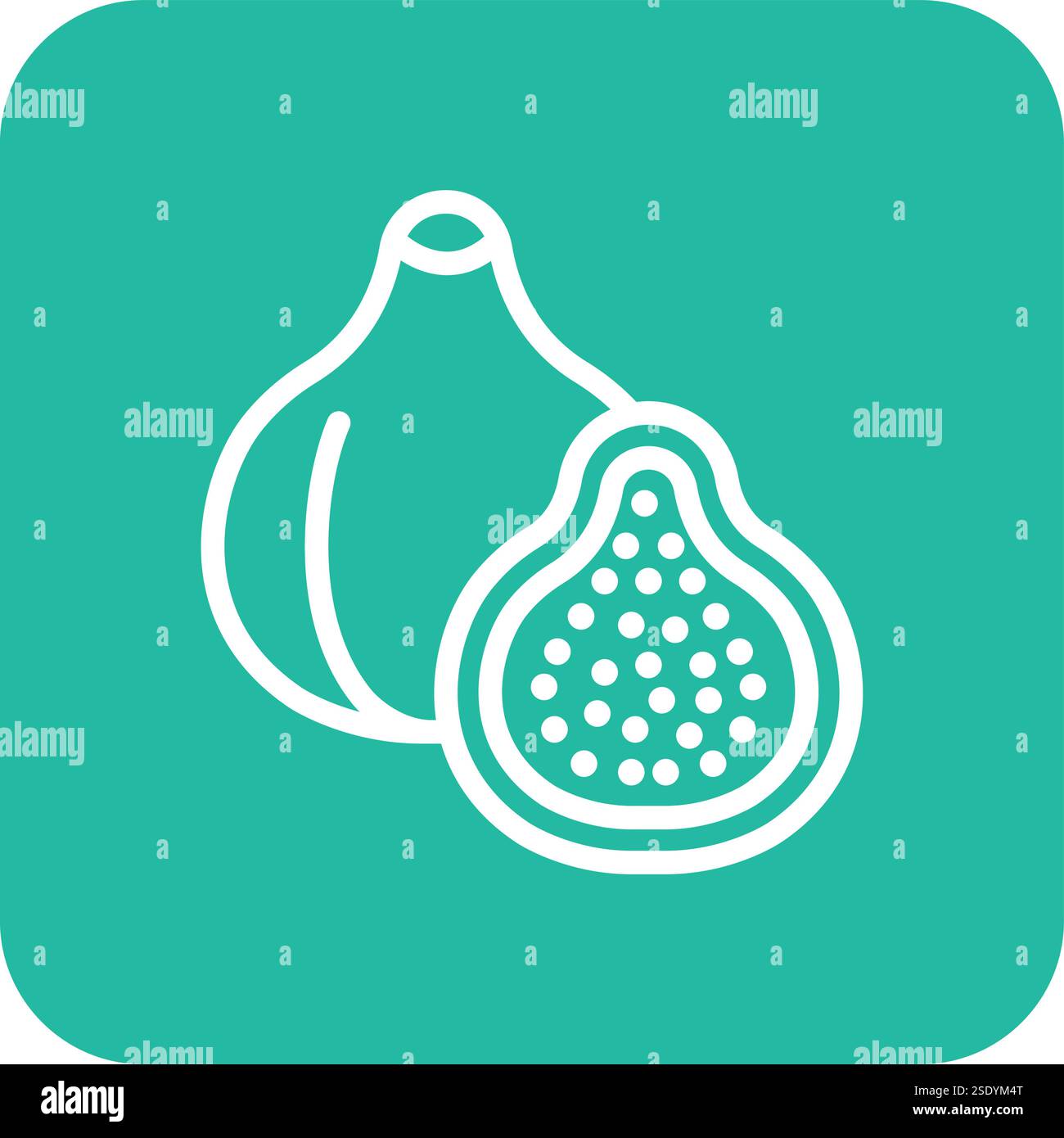 Fig Vector Icon Design Illustration Stock Vector