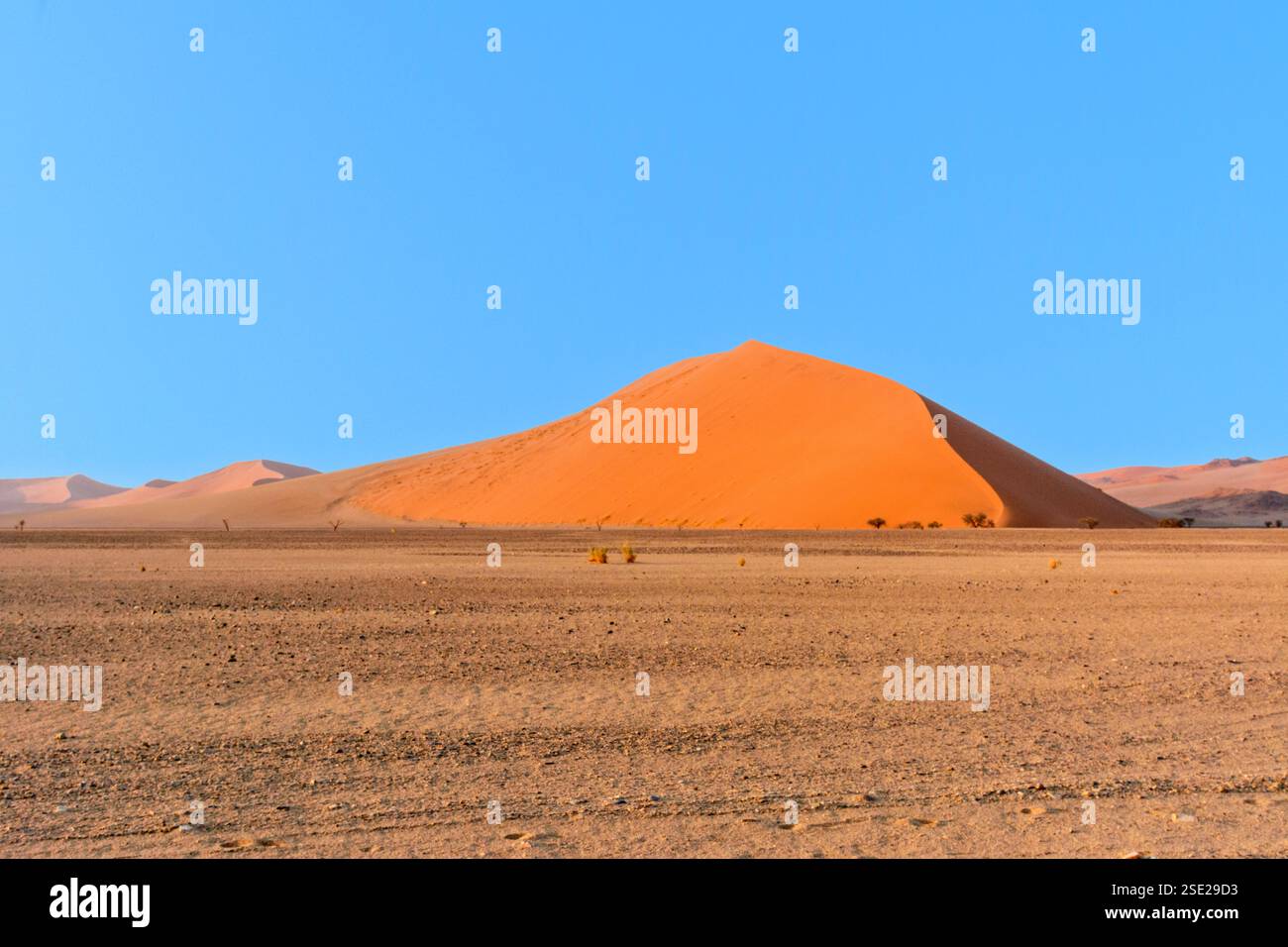Dune 40, a giant sand dune, on the route between Sossusvlei and Dead ...