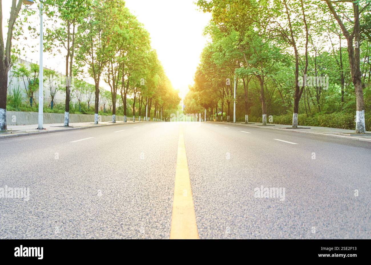 The straight road stretches into the distance Stock Photo - Alamy