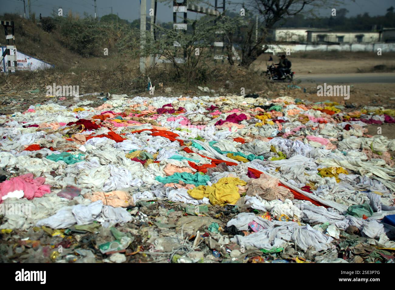 Jammu, India. 8th Feb, 2025. Buffaloes and cows feed on garbage near the railway bridge in Parmandal. While the Government of India promotes the Swachh Bharat Abhiyan, the reality on the ground tells a different story, with unmanaged waste posing a serious threat to both the environment and animal health. (Credit Image: © Nisar Ul Haq Allaie/Pacific Press via ZUMA Press Wire) EDITORIAL USAGE ONLY! Not for Commercial USAGE! Stock Photo