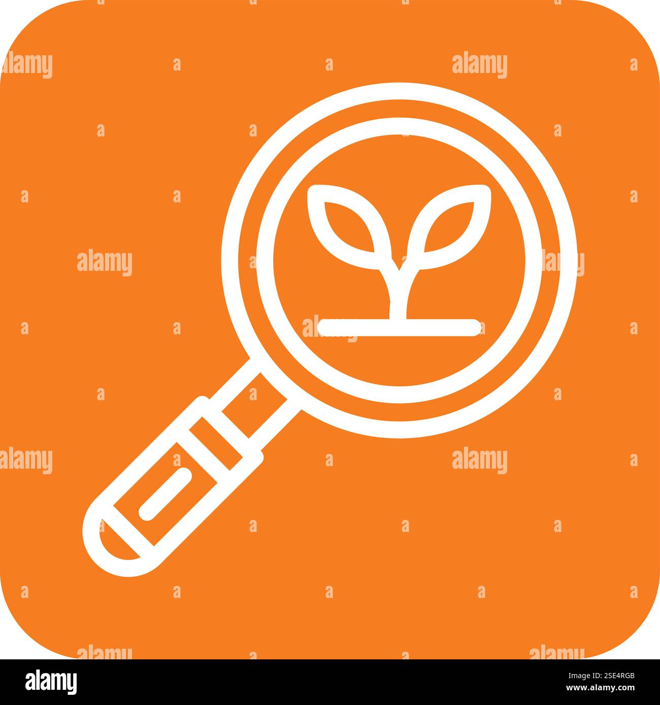 Eco search Vector Icon Design Illustration Stock Vector