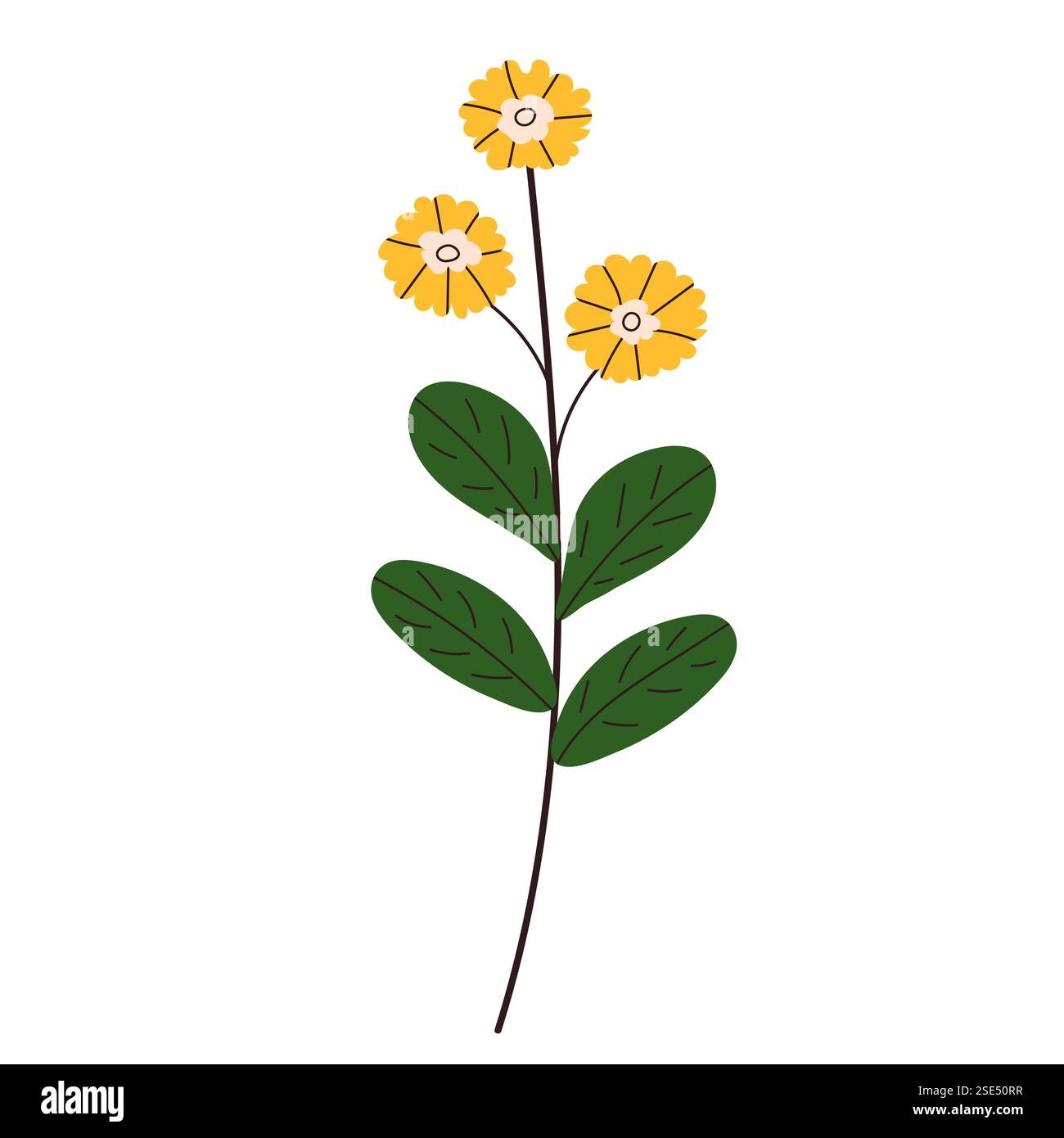 flower in doodle style isolated vector Stock Vector Image & Art - Alamy