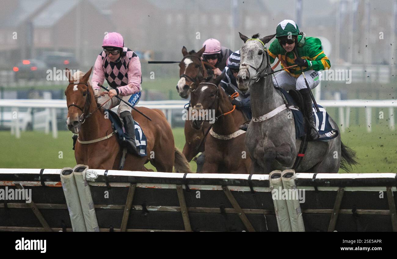 Newbury, Berkshire, UK. Saturday 8th February 2025. Joyeuse and Nico  De Boinville win the William Hill Hurdle ( Premier Handicap ) for trainer Nicky Henderson and owner Mr J.P.McManus. Stock Photo