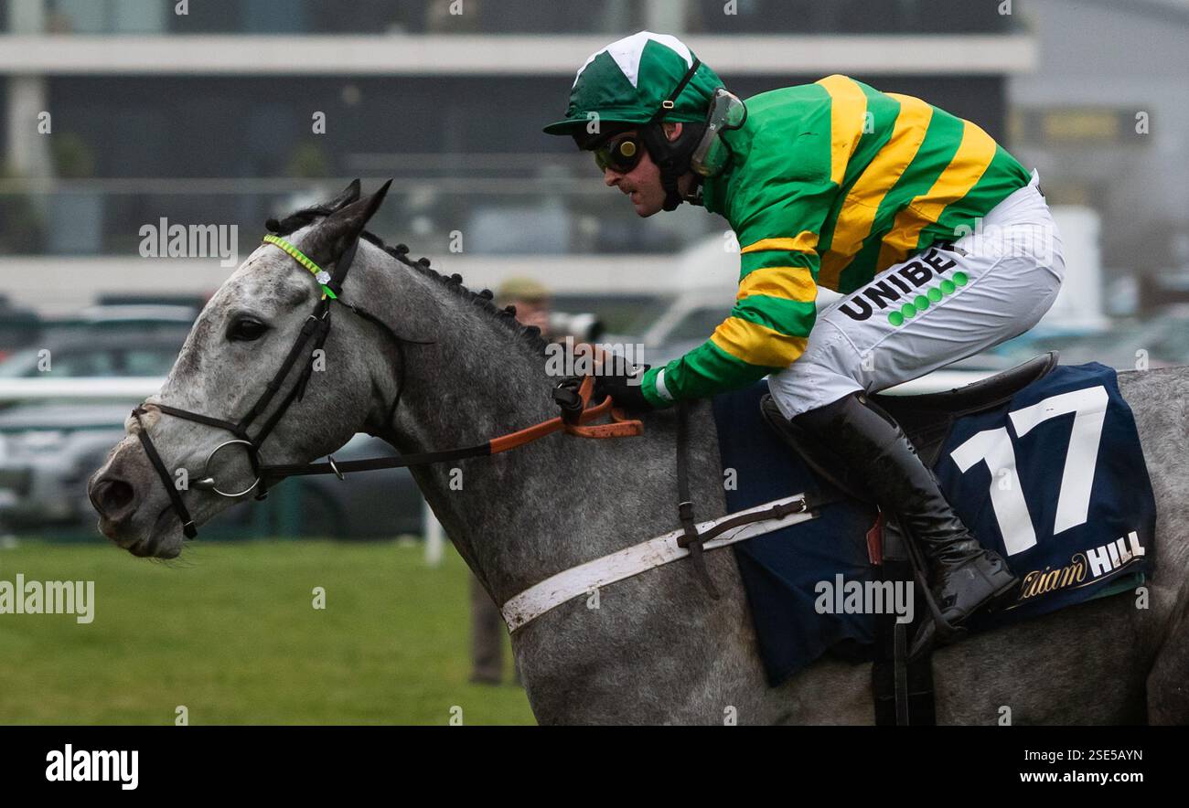 Newbury, Berkshire, UK. Saturday 8th February 2025. Joyeuse and Nico  De Boinville win the William Hill Hurdle ( Premier Handicap ) for trainer Nicky Henderson and owner Mr J.P.McManus. Stock Photo