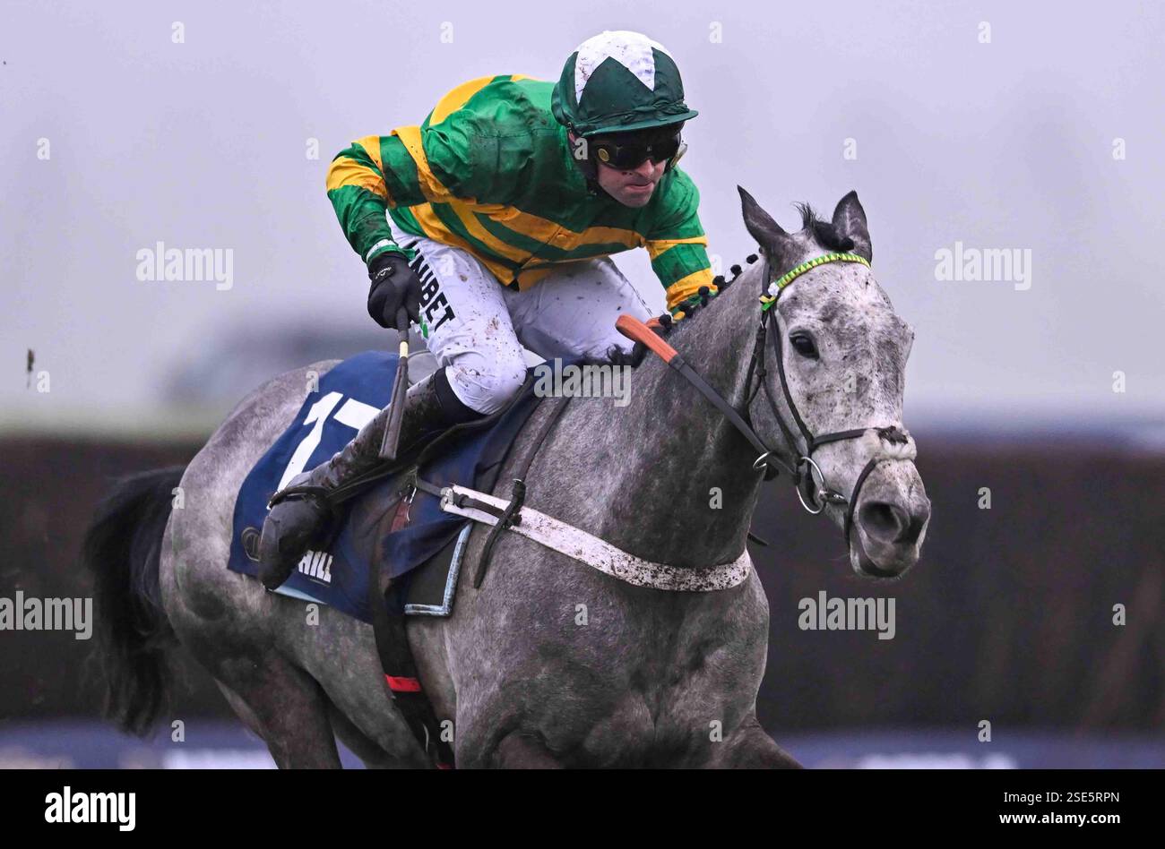 Newbury Hurdle Newbury and Ayr The Betting Market’s Mispricing of Pace Bias at Newbury