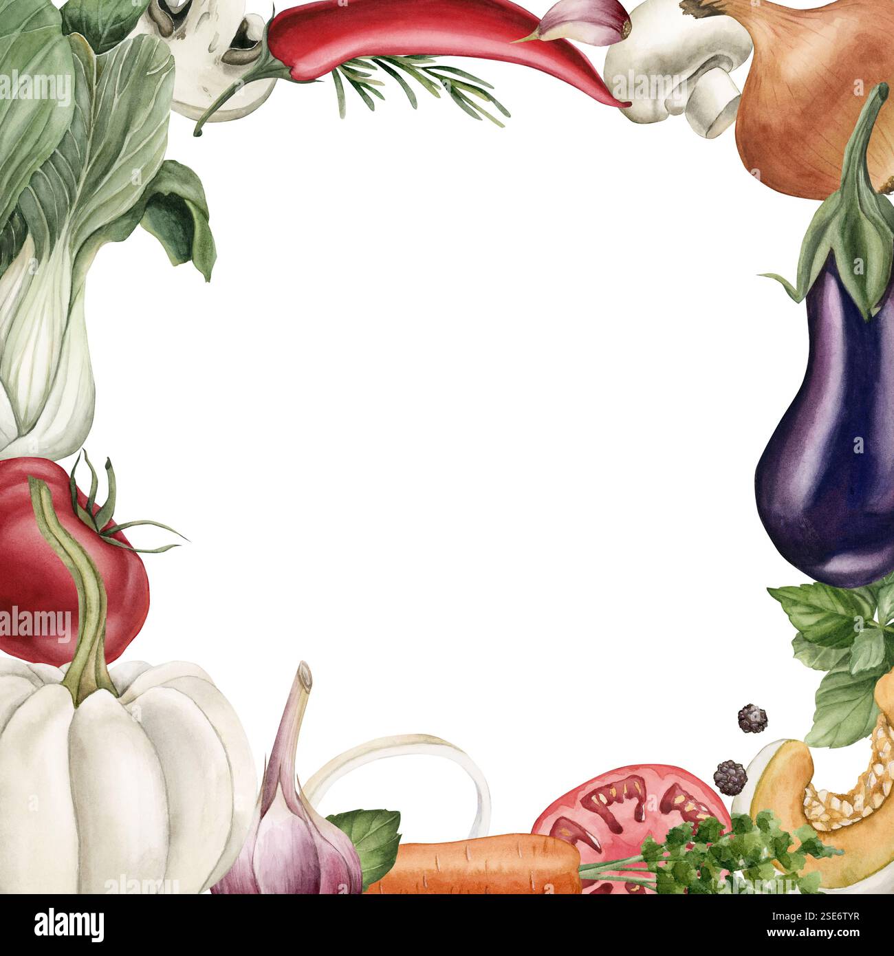 Fresh vegetables and seasonings square frame. Watercolor hand painted ...
