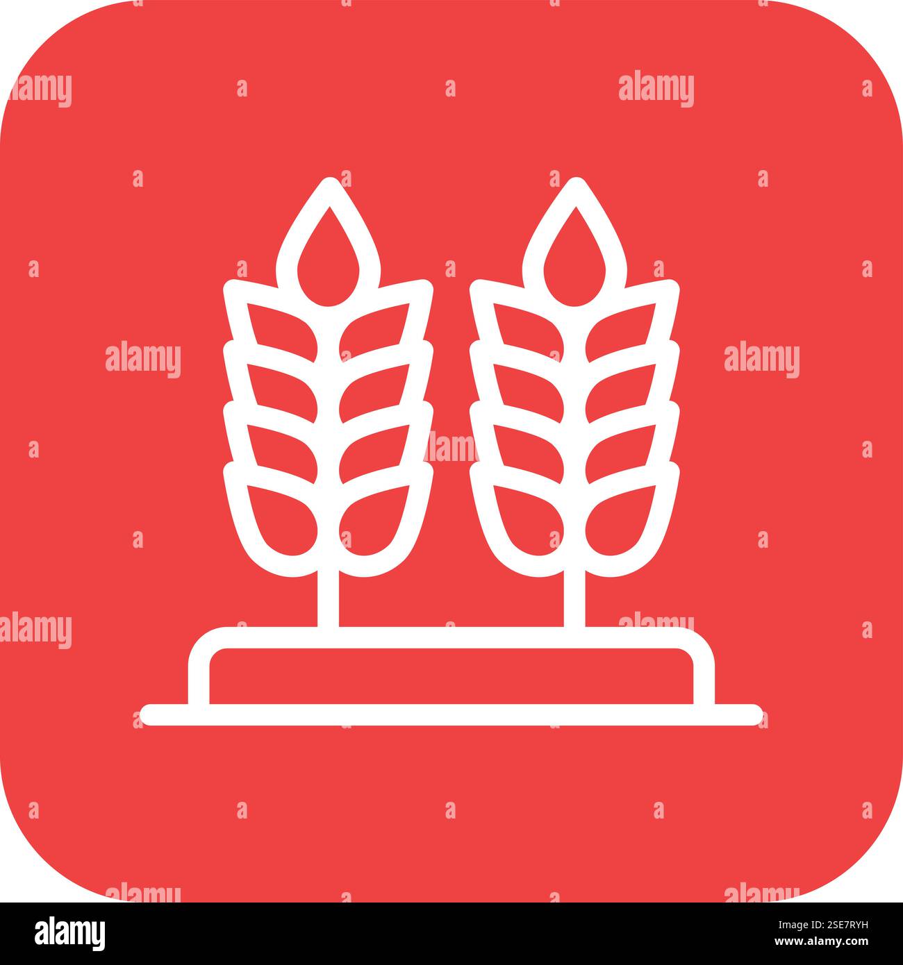 Wheat Vector Icon Design Illustration Stock Vector