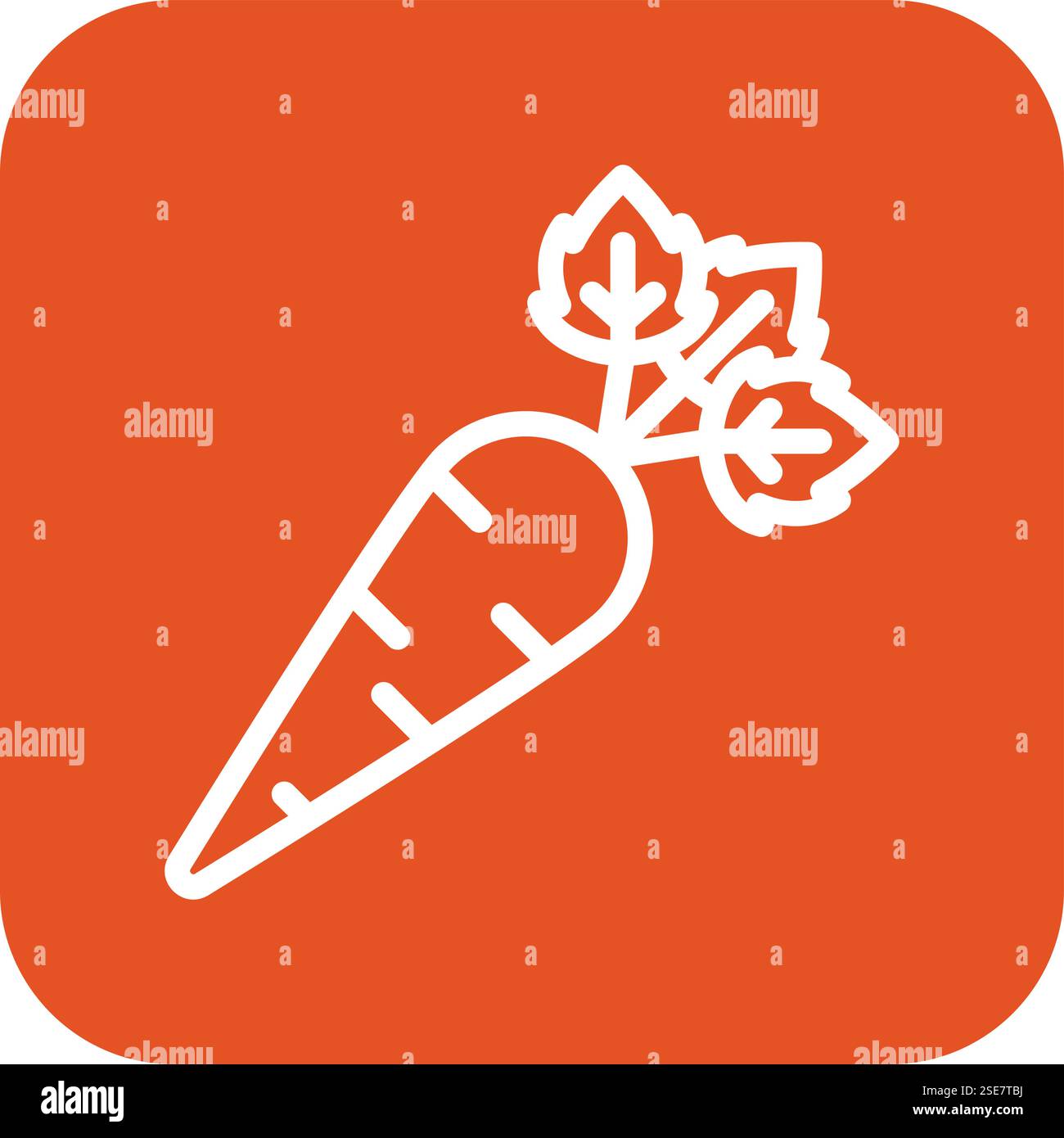 Carrot Vector Icon Design Illustration Stock Vector