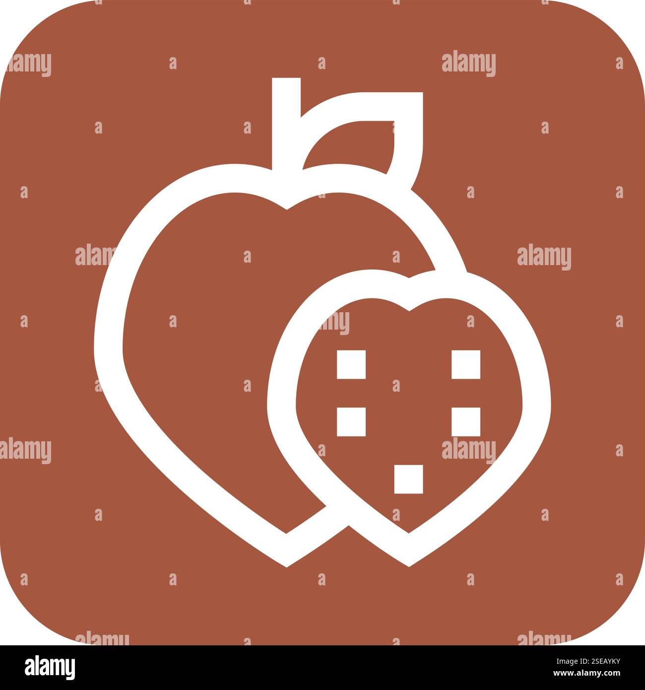 Custard apple Vector Icon Design Illustration Stock Vector