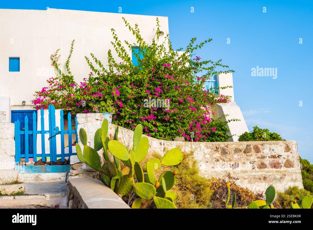 Whitte Typical whitte house with blue gate and flowers and cacti plants in ...