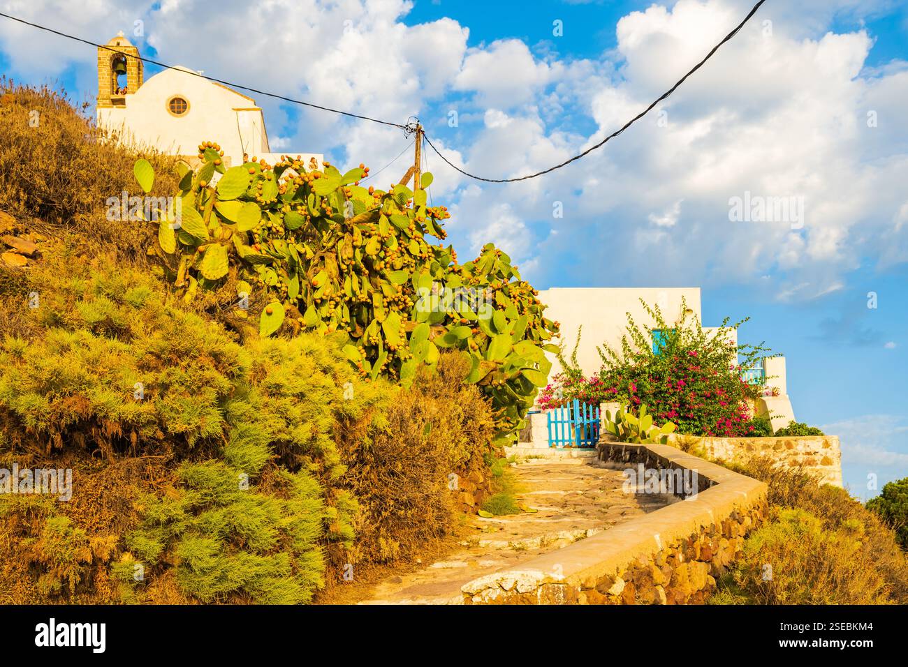 Whitte Typical whitte house with blue gate and flowers and cacti plants in ...